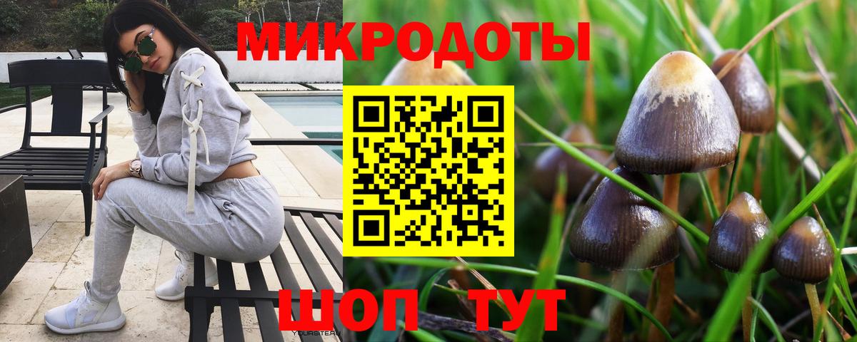 Галлюциногенные грибы Magic Shrooms  Вход с VPN  Новоалтайск 